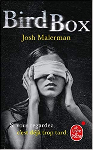 Este es el verdadero final de Bird Box que no pudimos ver por ser demasiado crudo y realista
